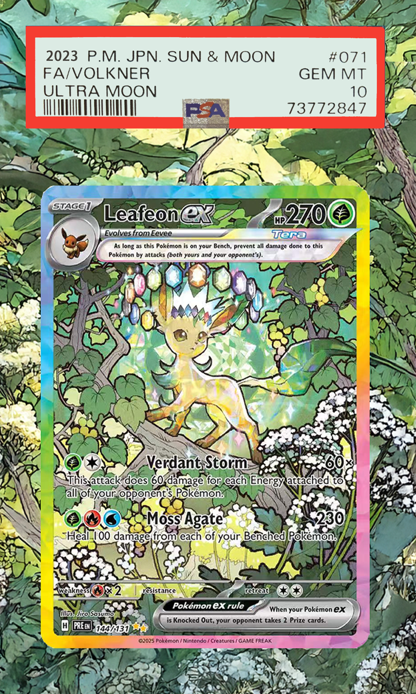 Pokemon Cards Display PTCG Lea - Display Case Acrylic recensie en prijs