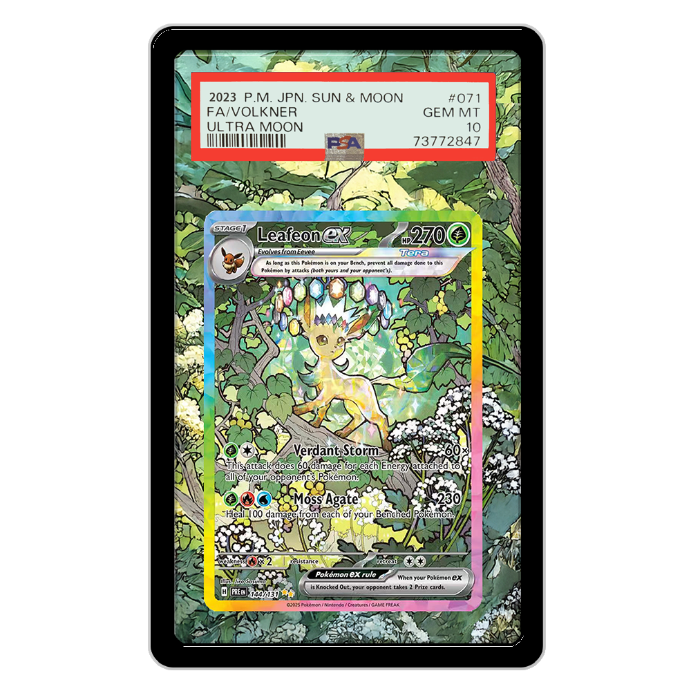 Pokemon Cards Display PTCG Lea - Display Case Acrylic recensie en prijs