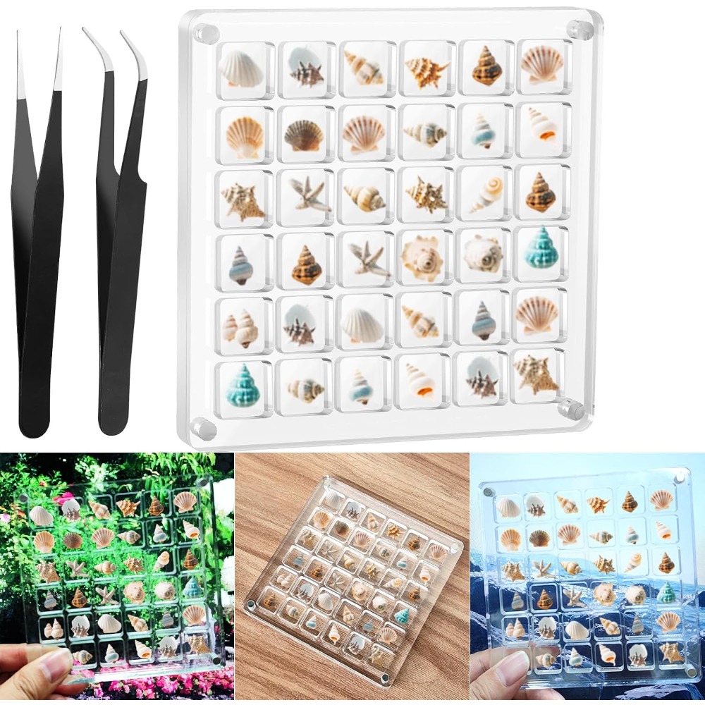 Clear Acrylic Magnetic Seashel - Display Case Acrylic recensie en prijs