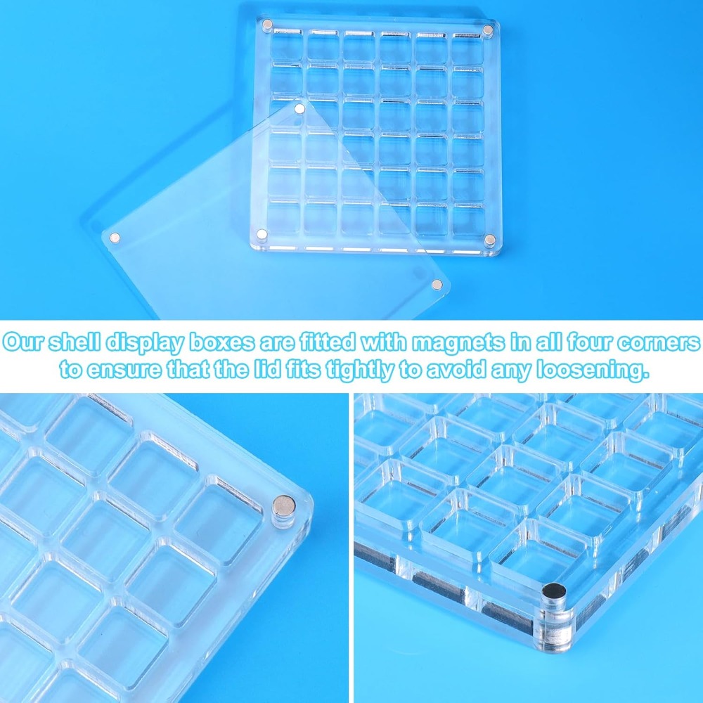 Clear Acrylic Magnetic Seashel - Display Case Acrylic recensie en prijs